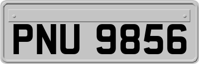 PNU9856