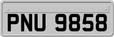PNU9858