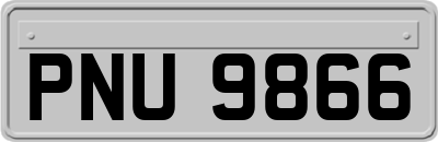 PNU9866
