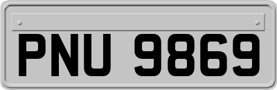 PNU9869