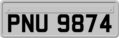 PNU9874