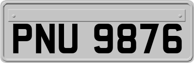 PNU9876