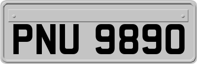 PNU9890
