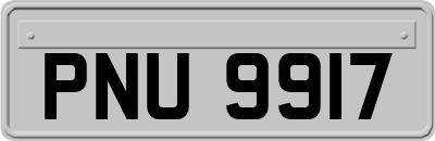 PNU9917