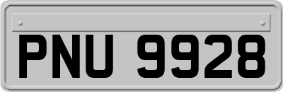PNU9928