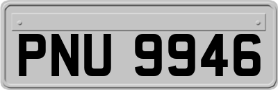 PNU9946