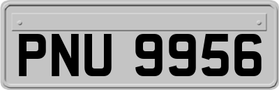 PNU9956