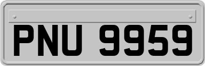 PNU9959