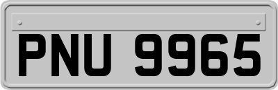 PNU9965