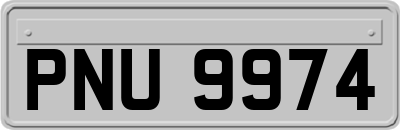 PNU9974