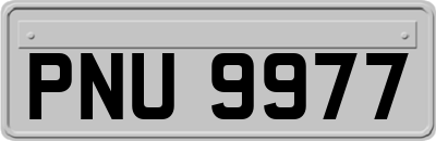 PNU9977