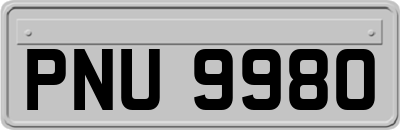 PNU9980