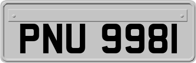 PNU9981