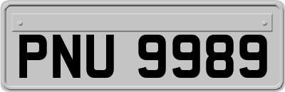 PNU9989