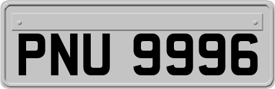 PNU9996