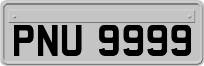 PNU9999