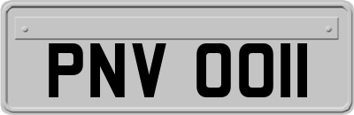 PNV0011
