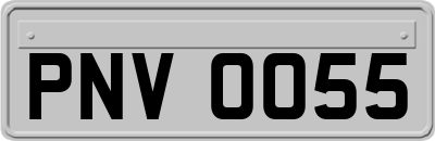 PNV0055