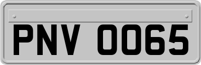 PNV0065