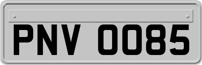 PNV0085