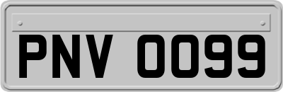 PNV0099