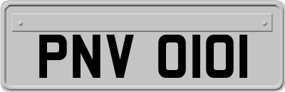 PNV0101