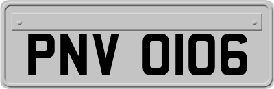 PNV0106