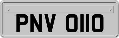 PNV0110