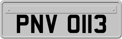 PNV0113