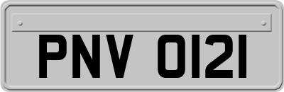 PNV0121