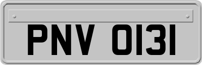 PNV0131