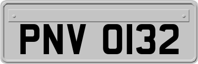 PNV0132