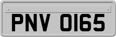 PNV0165