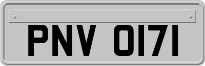 PNV0171