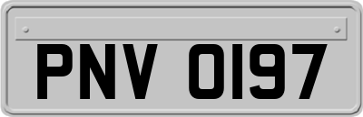PNV0197