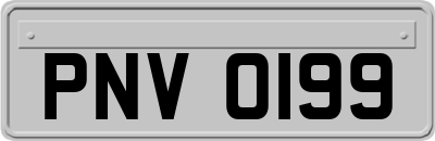 PNV0199