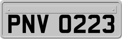 PNV0223