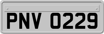 PNV0229