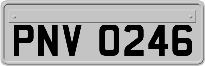 PNV0246