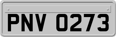 PNV0273