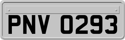 PNV0293