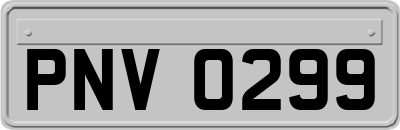 PNV0299