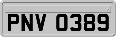 PNV0389