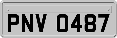 PNV0487