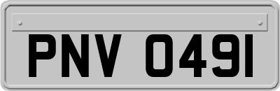 PNV0491