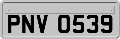 PNV0539