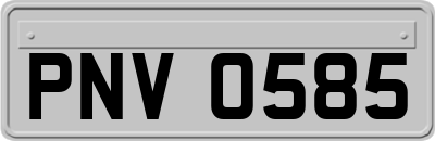 PNV0585