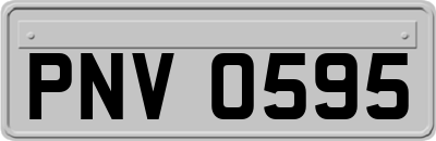 PNV0595