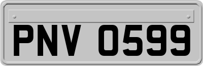 PNV0599