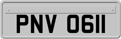 PNV0611